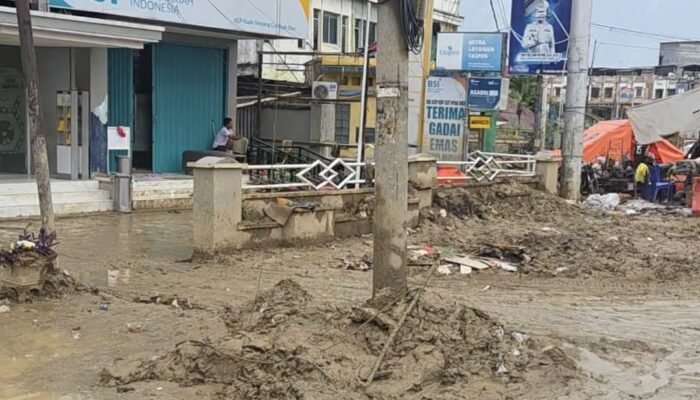 Tamiang, Awal Peradaban Melayu yang Lenyap oleh Lumpur, Optimis Bangkit